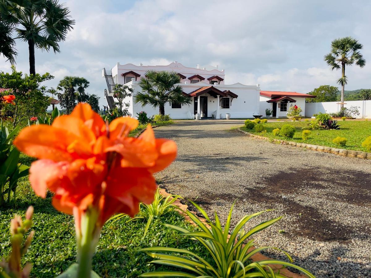 Kathircholai Bed and Breakfast Trincomalee Buitenkant foto